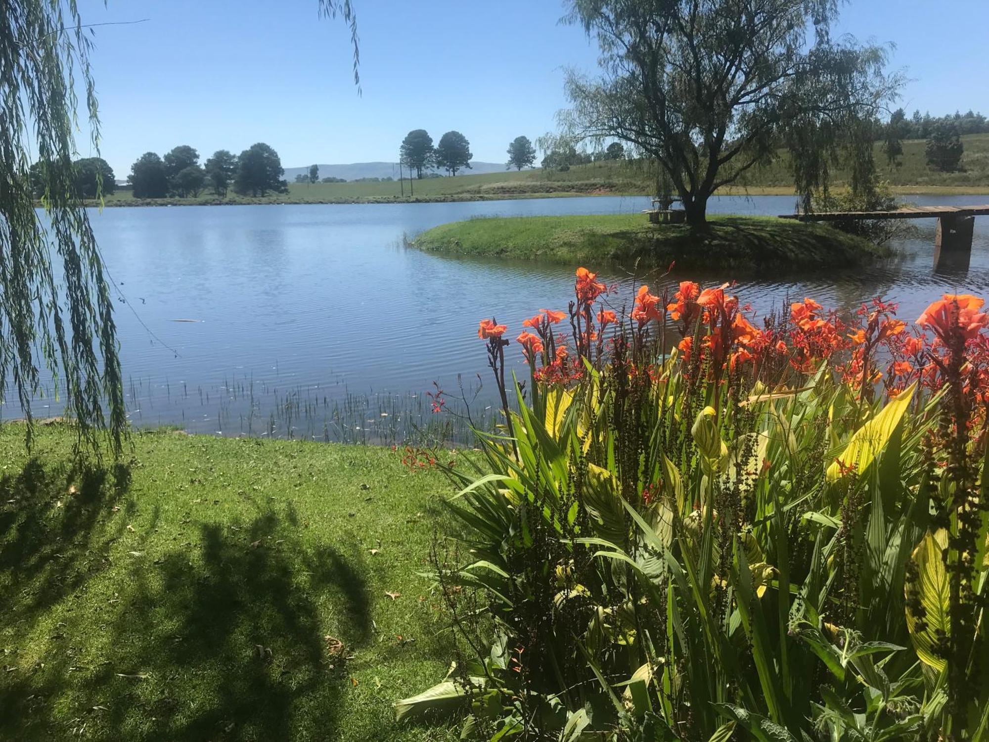 Willowbrooke Cottage هيمفيل المظهر الخارجي الصورة