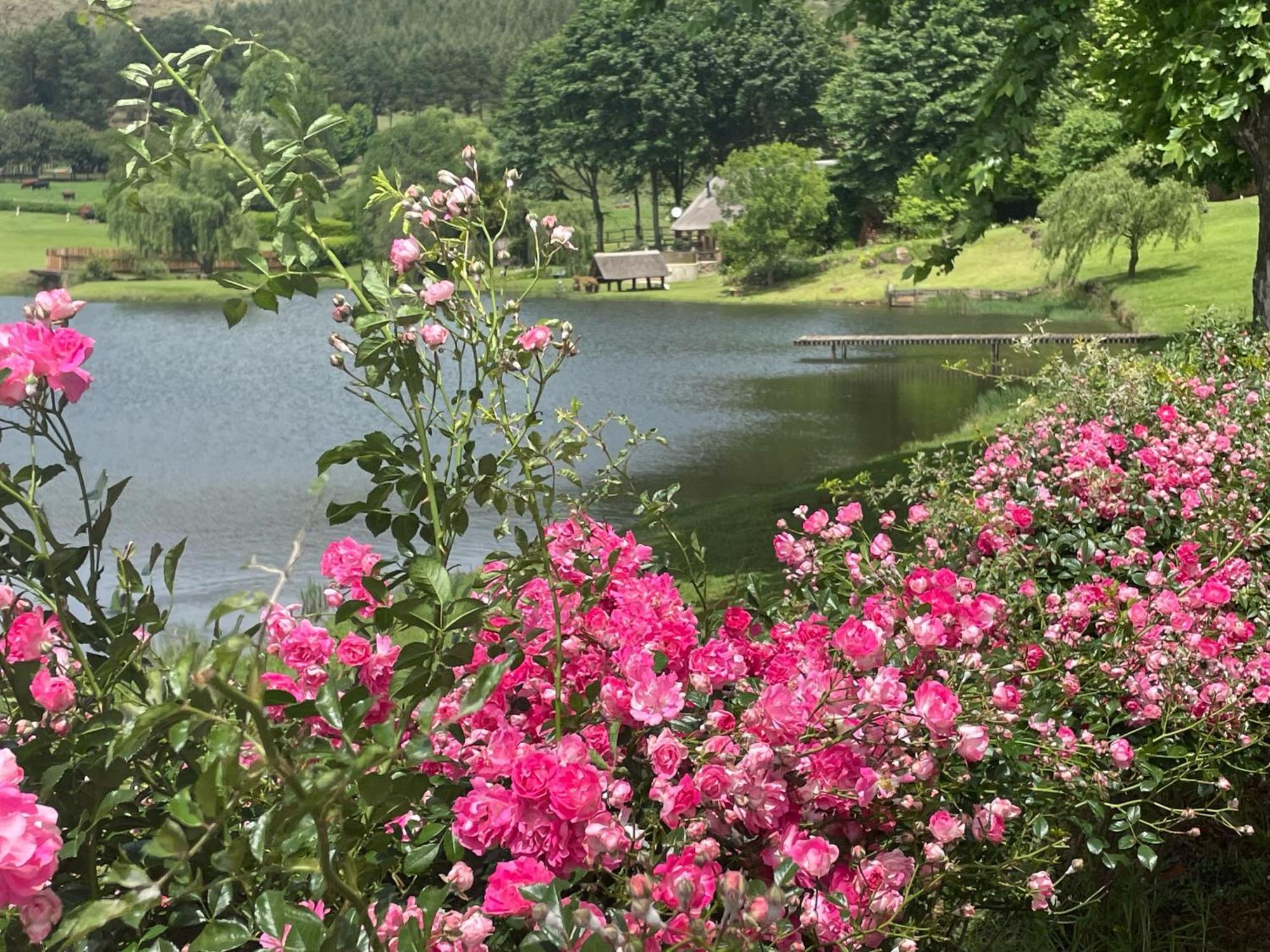 Willowbrooke Cottage هيمفيل المظهر الخارجي الصورة
